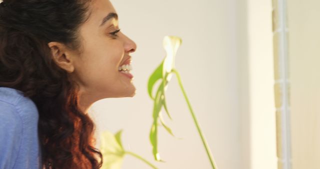 Happy Woman Smiling at Potted Plant in Sunlit Room - Download Free Stock Images Pikwizard.com