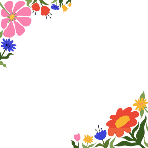 colorful floral corners with wildflower arrangement on transparent background - Download Free Stock Videos Pikwizard.com