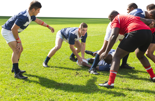 Diverse Male Rugby Players Competing on Field with Transparent Background - Download Free Stock Videos Pikwizard.com