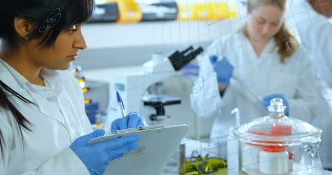 Diverse Scientists Conducting Research with Digital Equations