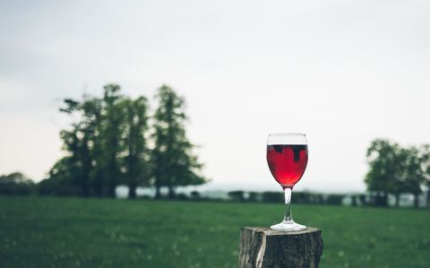 Red wine glass sitting on weathered tree stump in tranquil green countryside landscape