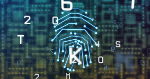 Biometric Fingerprint and Digital Data Network - Download Free Stock Images Pikwizard.com