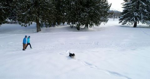 Couple Walking with Dog in Serene Snowy Winter Landscape