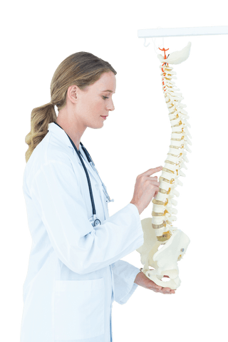 transparent female doctor examining anatomical spine model - Download Free Stock Videos Pikwizard.com