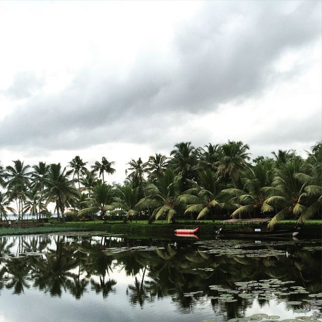 Tranquil Tropical Lake with Palm Trees and Reflections - Download Free Stock Photos Pikwizard.com