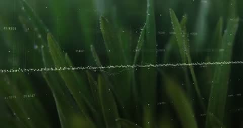 Digital Visualization of Moisture Data in Nature
