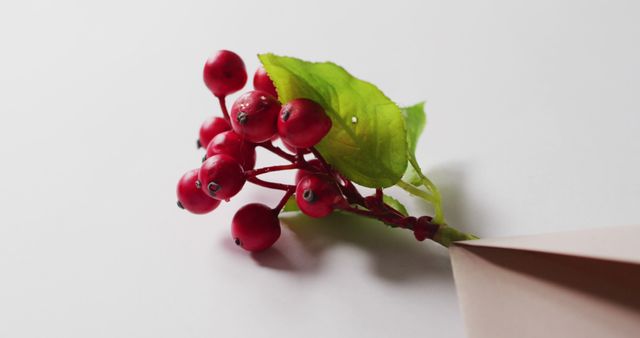 Red berries with green leaves placed next to a paper envelope on white surface. Ideal for themes related to nature, simplicity, freshness, minimalism, stationary designs, and festive decor. Use in greeting cards, seasonal promotions, and natural-themed content.