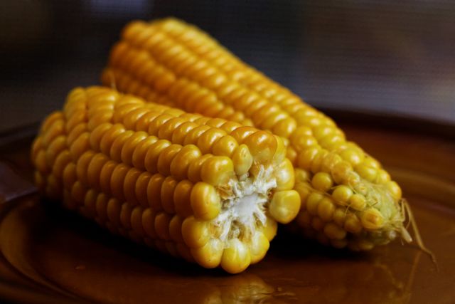 Close-up of freshly boiled corn on the cob on a brown plate. The corn kernels appear plump and golden, emphasizing their freshness and juiciness. Can be used for themes related to healthy eating, organic farming, summer produce, or vegetarian diet. Perfect for food blogs, recipe websites, agricultural articles, and health-conscious magazines.