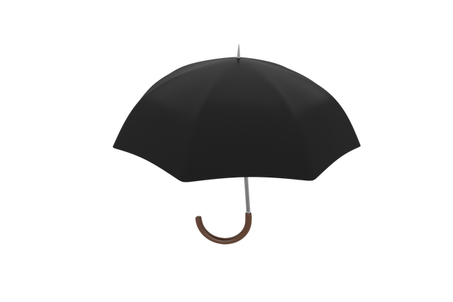 Transparent Premium Black Umbrella With Wooden Handle CG Rendering - Download Free Stock Videos Pikwizard.com