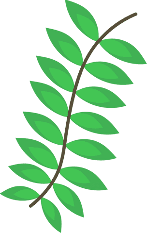 transparent stylized green plant branch illustration - Download Free Stock Videos Pikwizard.com
