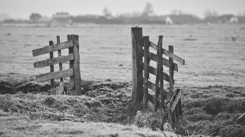 Rural pasture old broken fence in foggy countryside