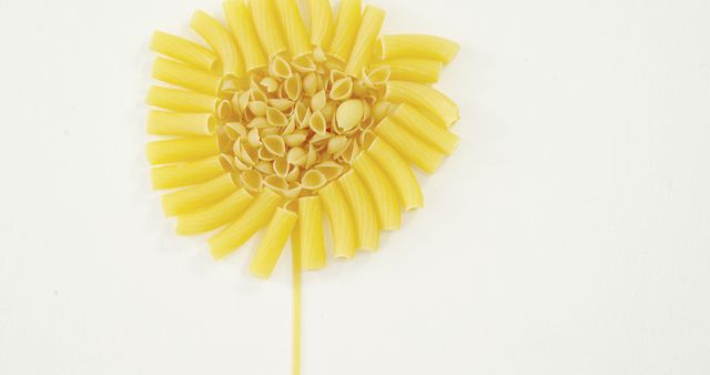 Creative food art featuring a sunflower made from various pasta types on a white background. This image can be used for culinary articles, food art blogs, creative design projects, and educational materials about art and creativity in cooking.
