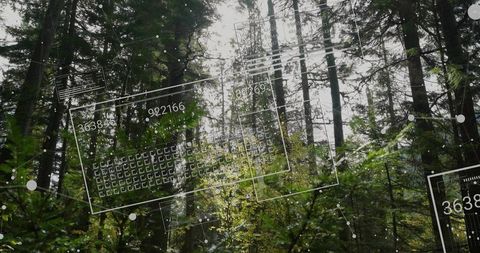 Augmented reality sensors scanning forest canopy with data overlay and node network