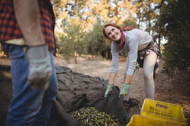 Woman harvesting olives on a farm, smiling and wearing gloves. Ideal for use in agricultural promotions, rural lifestyle blogs, and articles about farming and fresh produce.