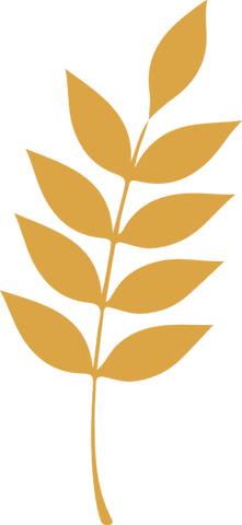 Elegant golden branch illustration on transparent background