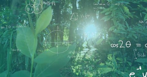 Illuminated forest path with mathematics overlay abstract concept