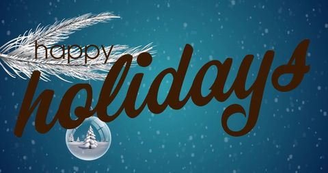 Happy Holidays Text with Fir Tree Branch and Snowy Background