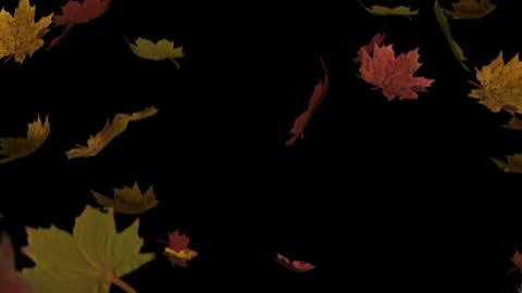 Falling Autumn Maple Leaves with Space for Copy