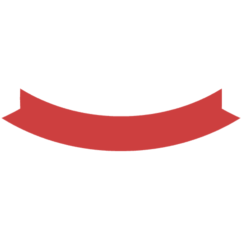 Red Banner with Copy Space on Transparent Background - Download Free Stock Videos Pikwizard.com