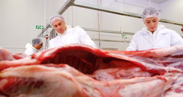 Butchers Processing Meat in Industrial Factory Setting - Download Free Stock Images Pikwizard.com