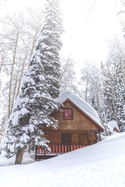 Ideal for winter holidays, travel, vacation, adventure ads, or nature-themed projects. This cozy wooden cabin nestled among snow-covered trees evokes a sense of tranquility and getaway, perfect for promoting winter getaways, nature retreats, or seasonal greetings.