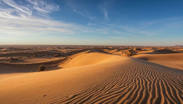Golden desert dunes at sunset, rippling sand patterns and sparse shrubs