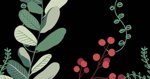 Abstract Botanical Illustration on Black Background