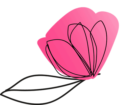 Elegant Abstract Flower Vector on Transparent Background - Download Free Stock Videos Pikwizard.com
