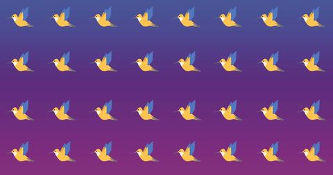 Vibrant Bird Pattern on Gradient Purple Background - Download Free Stock Images Pikwizard.com