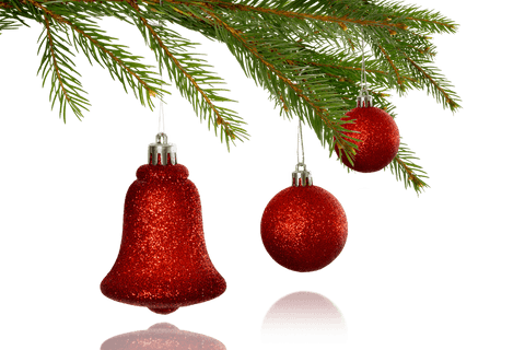 red christmas ornaments hanging on pine branches clear background - Download Free Stock Videos Pikwizard.com