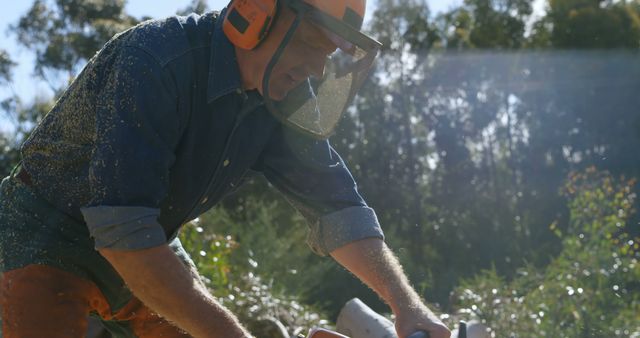 Forestry Worker Using Chainsaw in Sunlit Forest - Download Free Stock Images Pikwizard.com