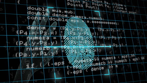 Fingerprint Scanning Over Digital Data Interface