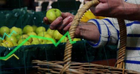 Man placing green apples in basket at market with graph overlay