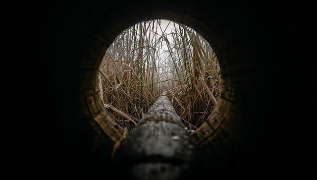 Framing circular culvert revealing misty marsh reeds with wet beam and water droplets