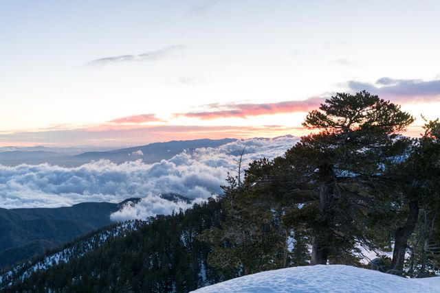 Snow-covered mountain peaks with trees under sunrise sky with clouds. Perfect for nature-themed marketing materials, travel blogs, winter travel ads, scenic landscapes collection, and outdoor adventure promotions.