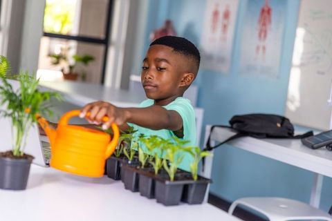 African american boy watering seedlings in classroom stem project with orange watering can