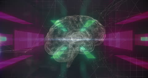 Futuristic Brain Anatomy with Digital Glowing Elements