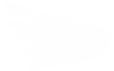 Abstract White Wings Design on Transparent Background - Download Free Stock Videos Pikwizard.com