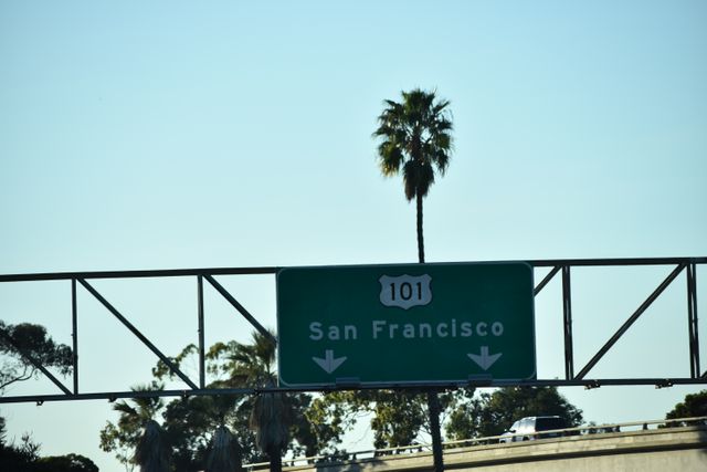 Highway 101 road sign showing direction to San Francisco, placed high above roadway with clear sky background. Palm tree and other trees visible, emphasizing California, travel, and transportation themes. Useful for travel blogs, road trip planning, and navigation-related content.