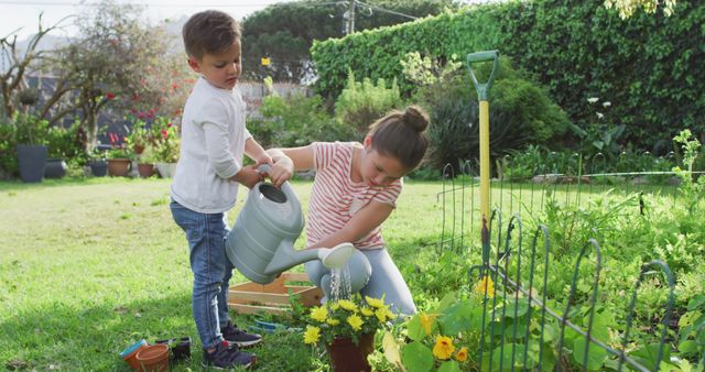 Children Watering Plants in Backyard Garden on Sunny Day - Download Free Stock Images Pikwizard.com