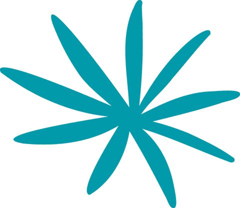 Symmetrical Turquoise Burst on Transparent Background - Download Free Stock Videos Pikwizard.com