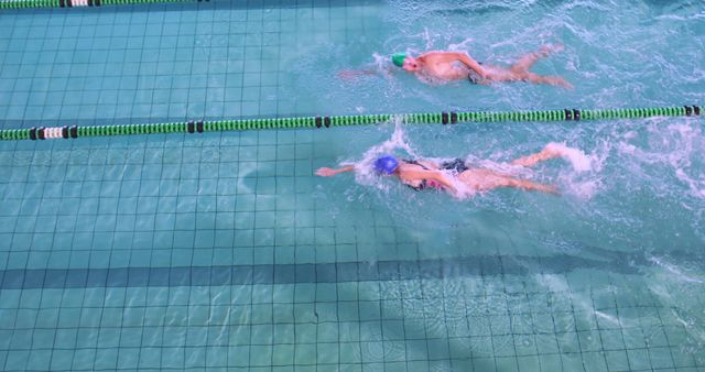 Competitive Swimming in Outdoor Pool, Overhead View - Download Free Stock Images Pikwizard.com