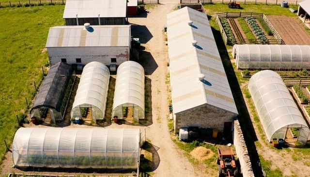 Aerial market garden with polytunnels and corrugated sheds featuring tractor, beds and crop rows