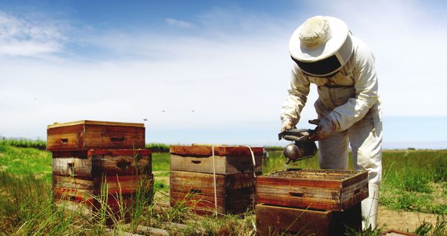 A beekeeper in a white protective suit is tending bee hives in an open field on a sunny day. This image highlights the practice of beekeeping and can be used for topics related to agriculture, environmental sustainability, honey production, and rural lifestyles. Ideal for websites or campaigns focusing on natural farming, beekeeping education, or promoting environmental awareness.