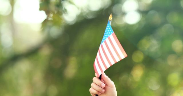 Hand Holding Small American Flag Outdoors - Download Free Stock Images Pikwizard.com