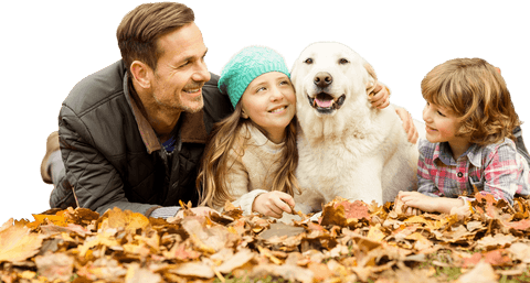 transparent autumn scene with smiling family and dog - Download Free Stock Videos Pikwizard.com