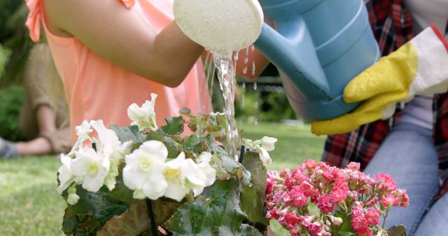 Two children working together to water pink and white flowers with a blue watering can. Great for illustrating the importance of teamwork, family time in nature, learning about gardening, or promoting outdoor activities for kids.