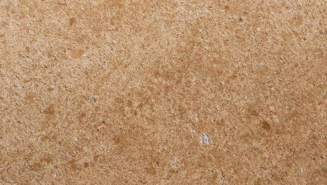 Textured tan limestone showing mineral grains, white flecks, pockmarks and sandy speckle