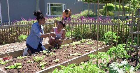 Urban community garden mentoring youth planting seedlings in raised beds on sunny day