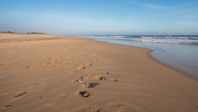 Empty sandy beach stretching toward horizon with scattered shells and footprints